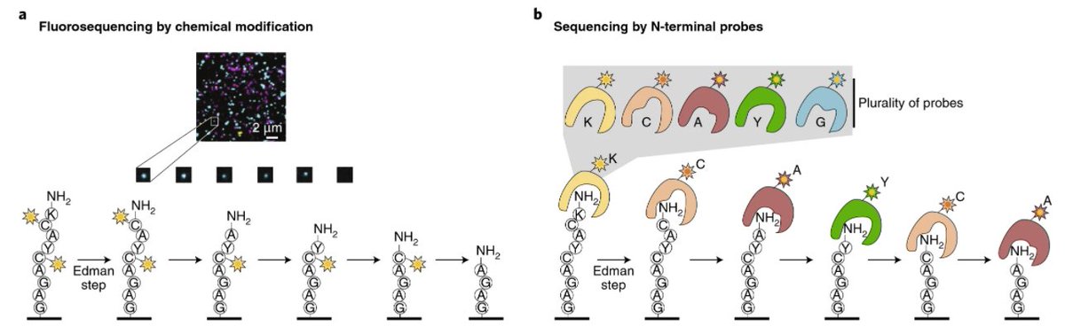 Nature Methods tweet media