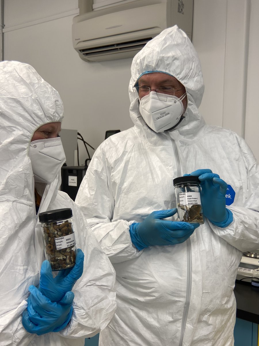 Numinus Bioscience tweet media