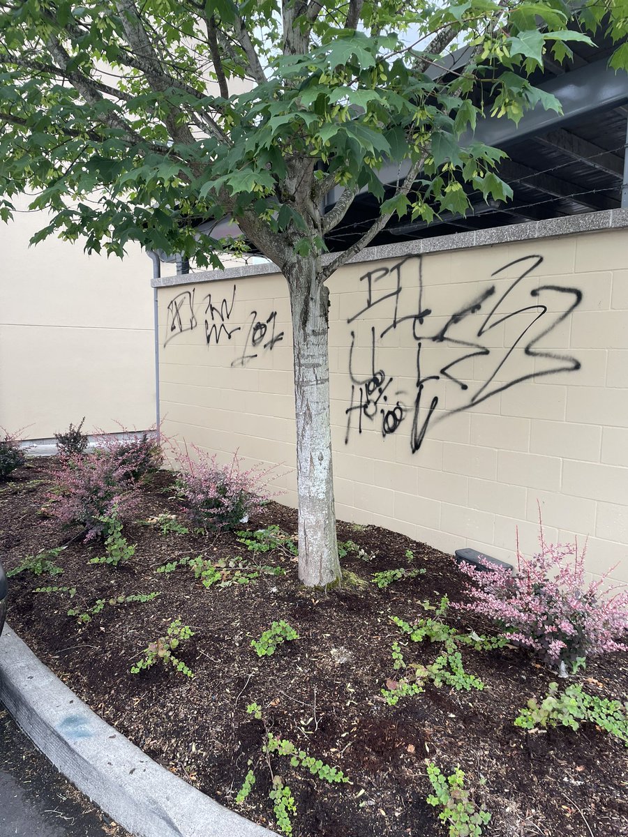 campbelco's tweet photo. @DowntownEugene Let’s get back to work……beautiful would be to have a clean SAFE graffiti and garbage free downtown… https://t.co/H4XvJ3AMxL