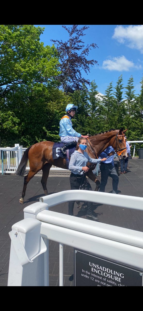 Racinggee42's tweet photo. Yagan completes his rapid fire hat trick at Lingfield today. Well done to team Sir Mark and great ride from Luke Morris. #mprupdates #winner #syndicatesuccess https://t.co/qKnaMLRHOE