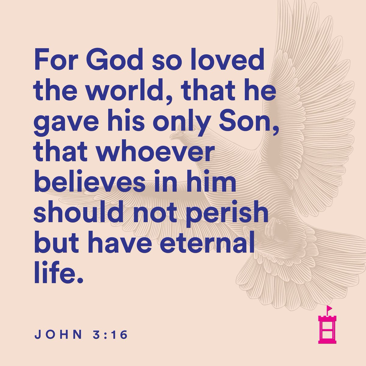 intothecastletv's tweet photo. Happy Monday!

#MondayMotivaton #VerseOfTheDay https://t.co/8Z9QizFRjV