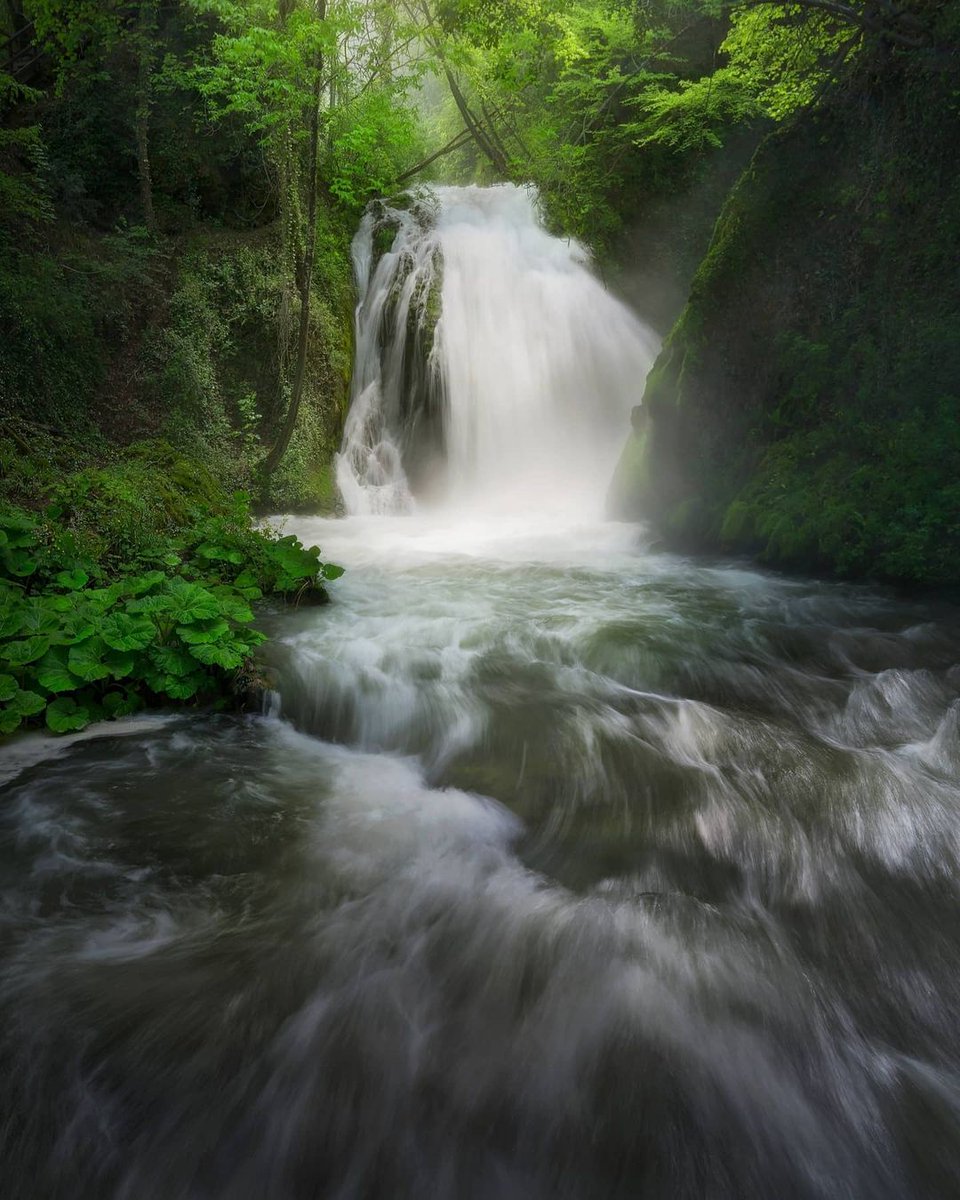 Un luogo mistico attraversato dalle acque del #Nera: siamo nell’omonimo Parco Fluviale. Sentieri che ricalcano mulattiere e antiche vie di collegamento, tra borghi e scenari incantevoli, vi portano a scoprire la flora del parco
bit.ly/3g0mU8w
ph albyco
#umbriaoutdoor