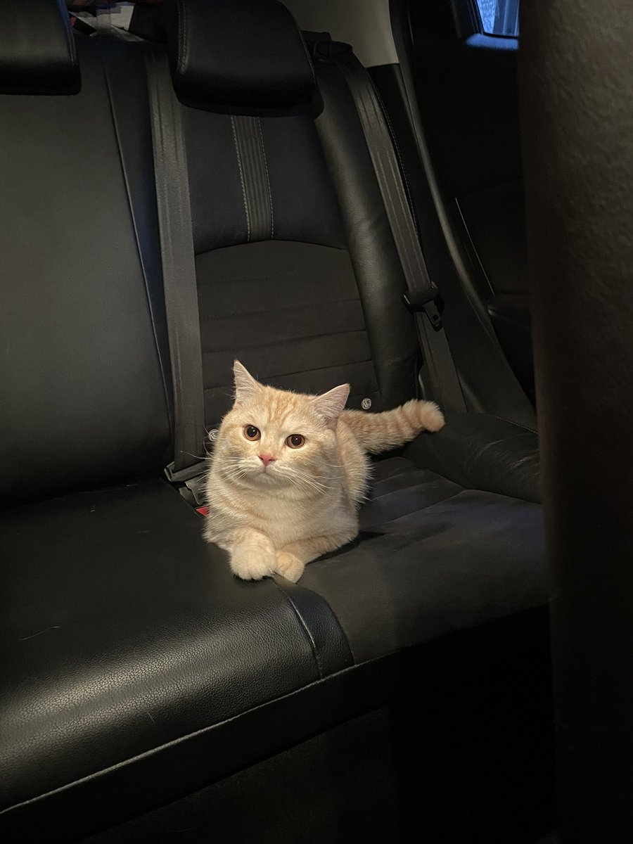 บีมกับน้องๆ tweet media
