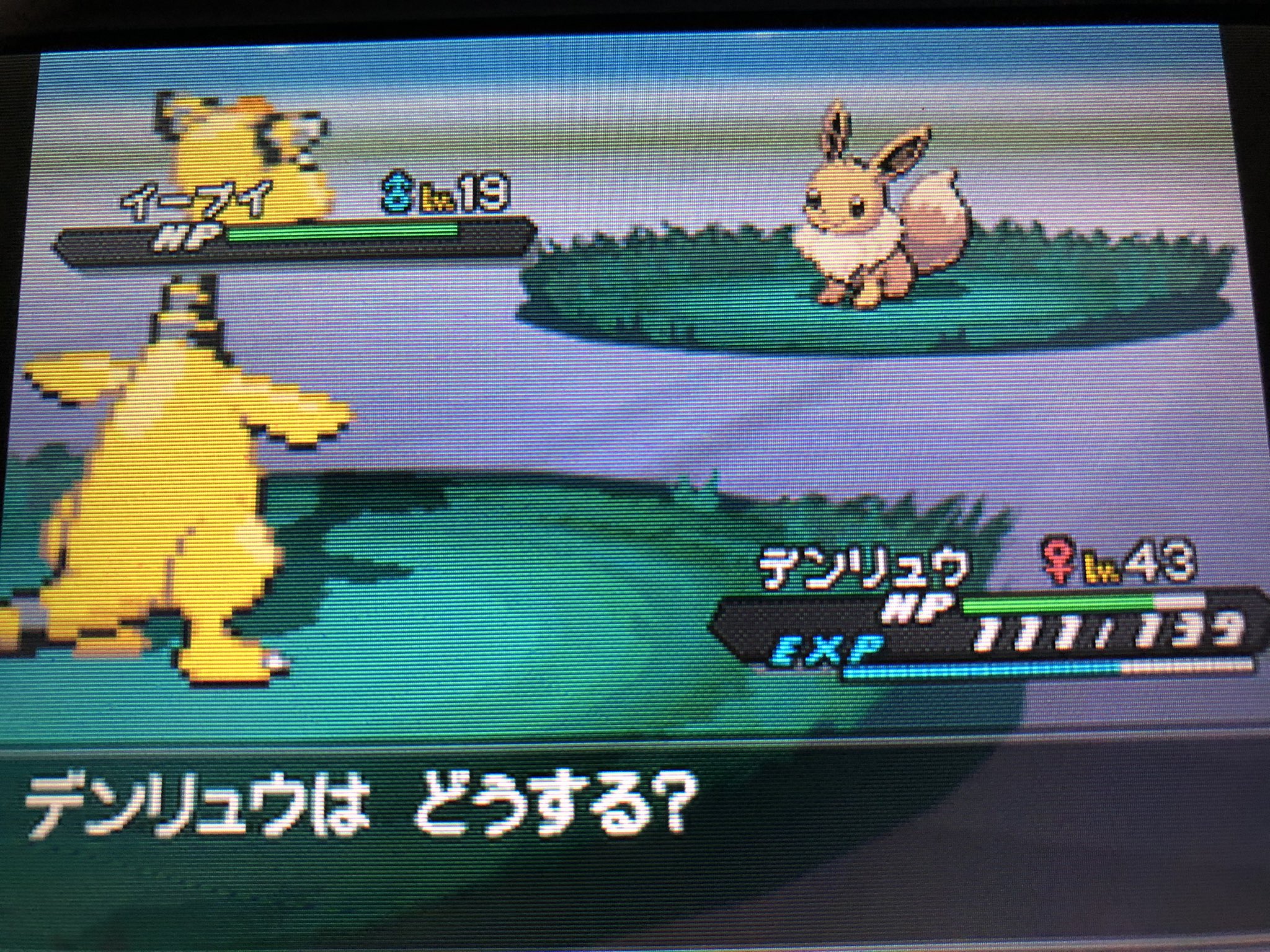 そるあ 30分粘ってやっと出たぁ 長い戦いやったぁ ポケモン ポケモンbw2 イーブイ T Co Vx8d5ggfb6 Twitter