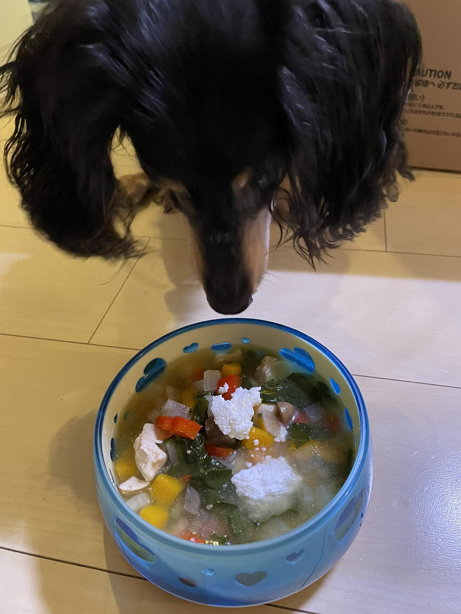 ট ইট র Kyoko 今夜の手づくり犬ごはん ささみ 大根 パプリカ ほうれん草 かぼちゃ マッシュルームです トッピングは生姜パウダーと カッテージチーズ リオン 早く良くなってね 手づくり犬ごはん T Co Isvrea0mzf ট ইট র