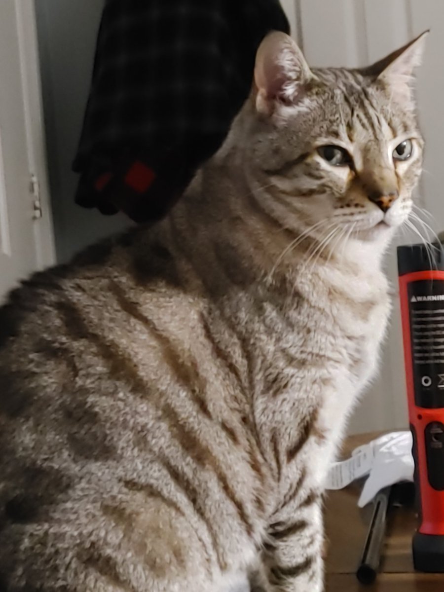 thechonkmaster's tweet photo. Its my birthday bitches!!! https://t.co/XP8O1WPqaC