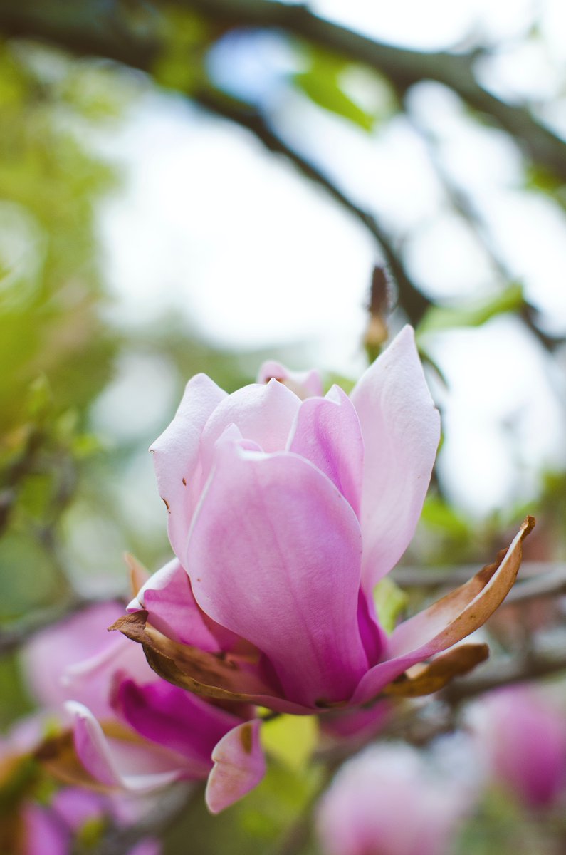 HomeFrontBooks's tweet image. What inspires you? Is it nature, family, work or something else? 
For us it's all about nature. There's nothing better than sitting in nature and writing.
#authors #writers #author #books #writer #bookstagram #writing #writerscommunity #authorlife  #writerslife #writersofig