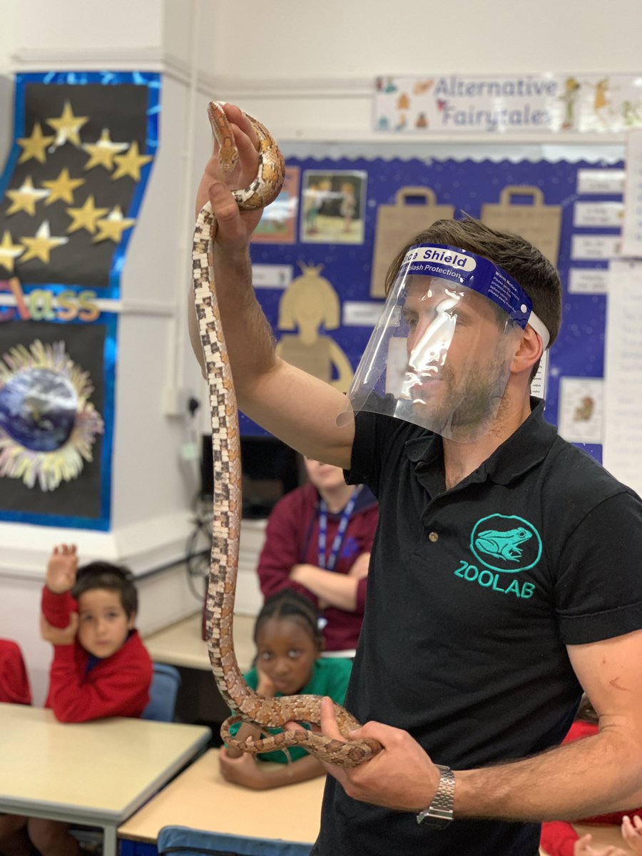 Thank you to Phillip from <a href="/ZooLabUK/">ZooLabUK</a> for our amazing workshop. We really enjoyed learning all about the incredible animals. 

Thank you for introducing us to Slinky the Snake🐍, Turbo the Snail 🐌, Echo the Gecko🦎, Rosie the Tarantula 🕷and Mike the Cockroach 🪳