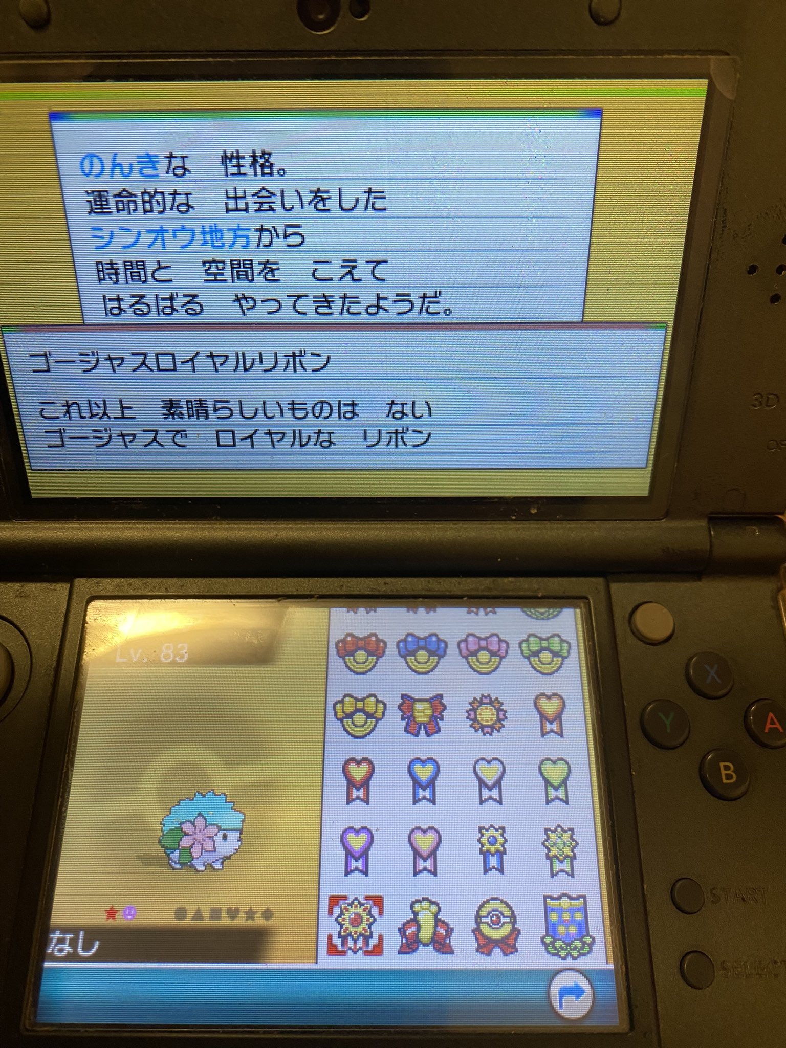 ポケモン ブラック 色シェイミ 4世代リボンコンプ 未使用
