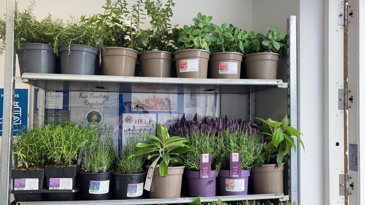 HuntsSherborne's tweet photo. 🍃 New Arrivals! 🍃

Our new selection of plants have arrived this morning! Perfect to brighten up your garden and enjoy the sunshine! 🌻

ℹ️ Pick up in store from today! https://t.co/C6eRFqpF6i