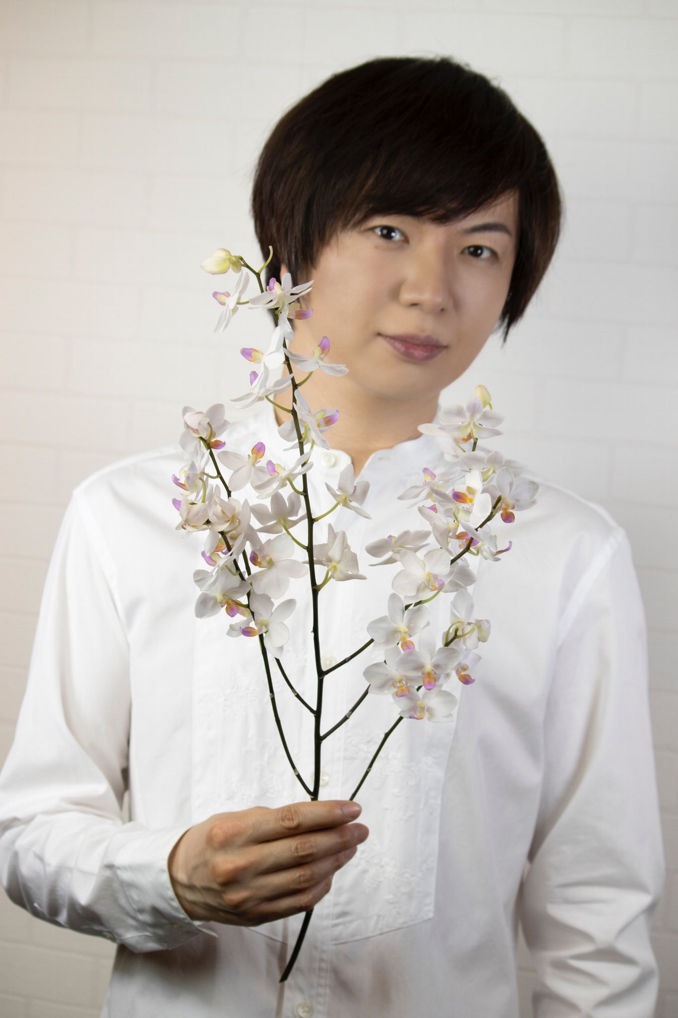 Twitter 上的 竹島宏スタッフ 公式 ファレノ なごり雪 胡蝶蘭の一種だそうです 胡蝶蘭の花言葉は 純粋な愛 最強な愛ですね ほんのりピンクのアクセント 花言葉に似合ってます 今日も1日お疲れ様でした ひろネット 花便り 花言葉 花 花を贈ろう Twitter 上的 竹島宏スタッフ 公式 ファレノ なごり雪 胡蝶蘭の一種だそうです 胡蝶蘭の花言葉は 純粋な愛 最強な愛ですね ほんのりピンクのアクセント 花言葉に似合ってます 今日も1日お疲れ様でした ひろネット 花便り 花言葉 花 花を贈ろう