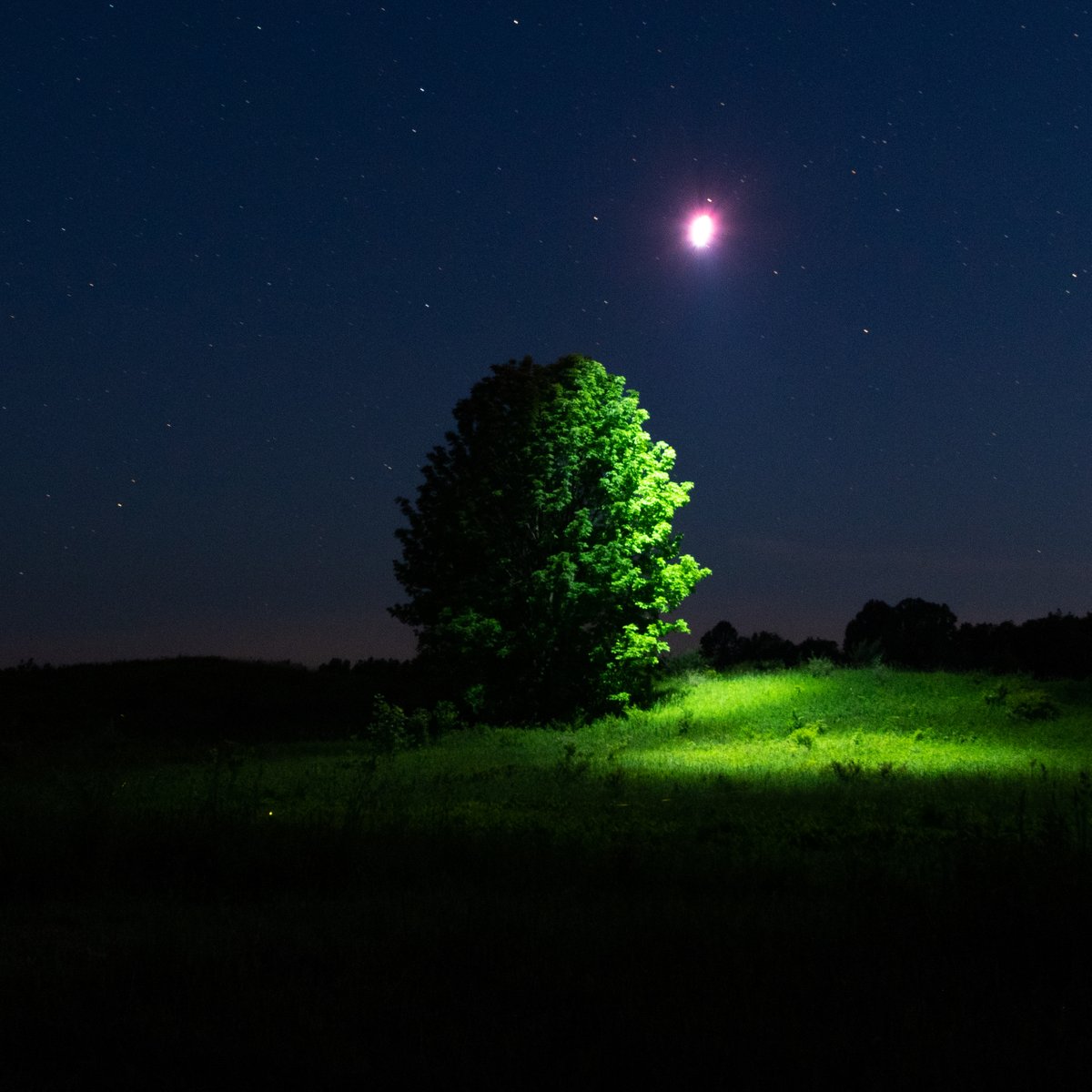 Nicholas Hazel (@nicholashazel7) on Twitter photo 