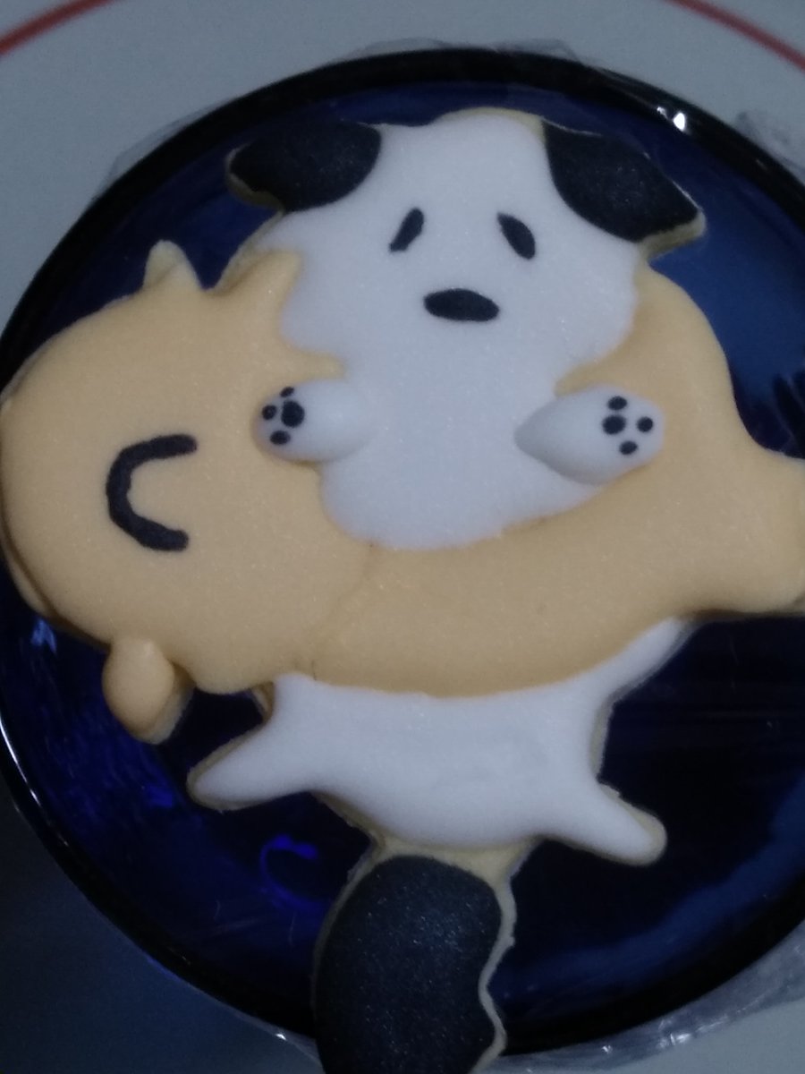 テレサン アイシングクッキーの試作品完成 Icing Cookie Prototypes ころねすきー浮き輪で海を満喫するフトイヌ A Dog Resting On A Float 追加クッキーを焼いて飾りつけ頑張ります I Ll Bake Additional Cookies And Try My Best To Decorate Them