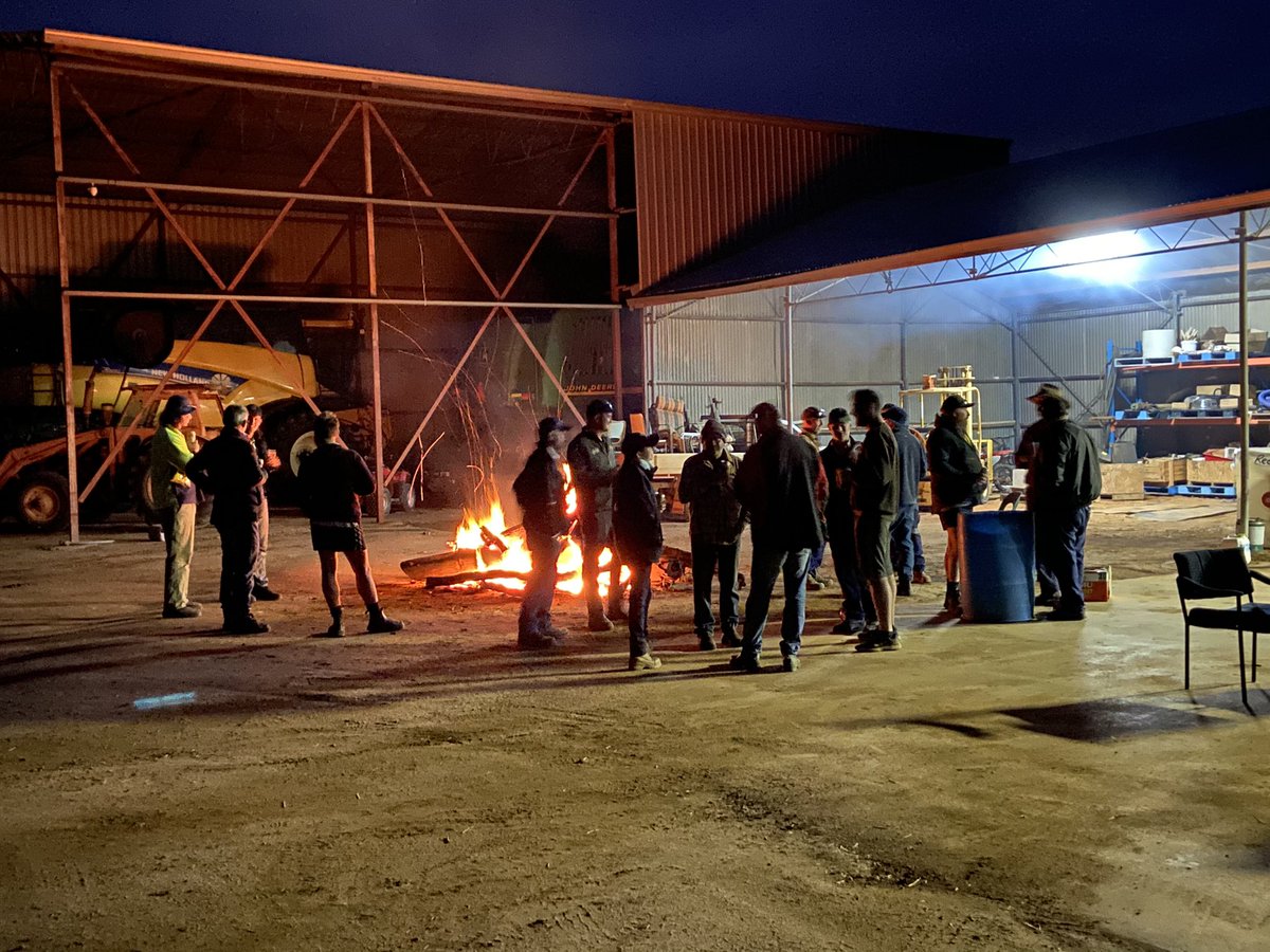 David Pfeiffer tweet media