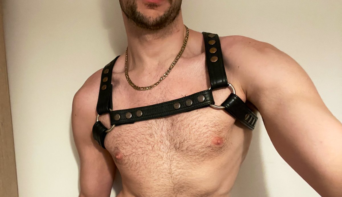 Hi everyone 🐽🐽!