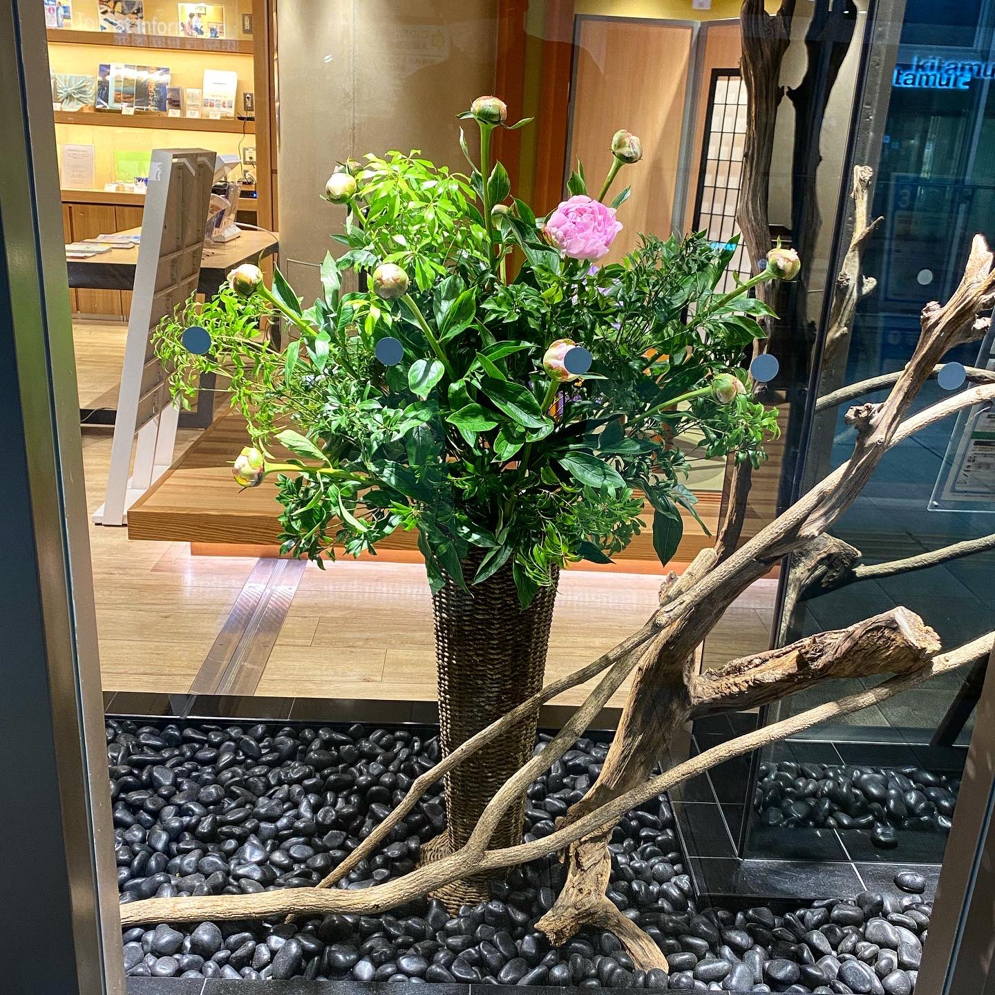 蒲田花屋 Twitter Search Twitter