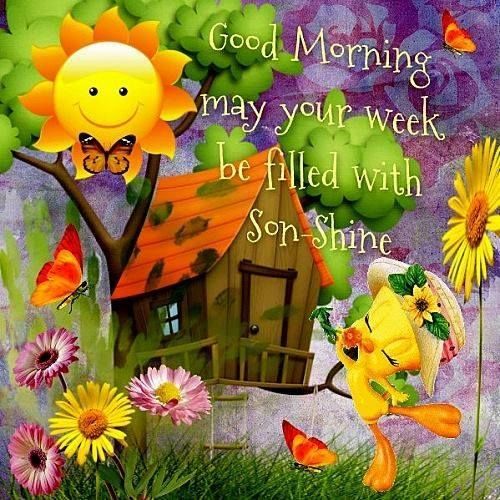 𝘋𝘪𝘢𝘯𝘢💫𝘗𝘳𝘪𝘯𝘤𝘦𝘴𝘴✨𝘞𝘢𝘳𝘳𝘪𝘰𝘳💫 tweet media