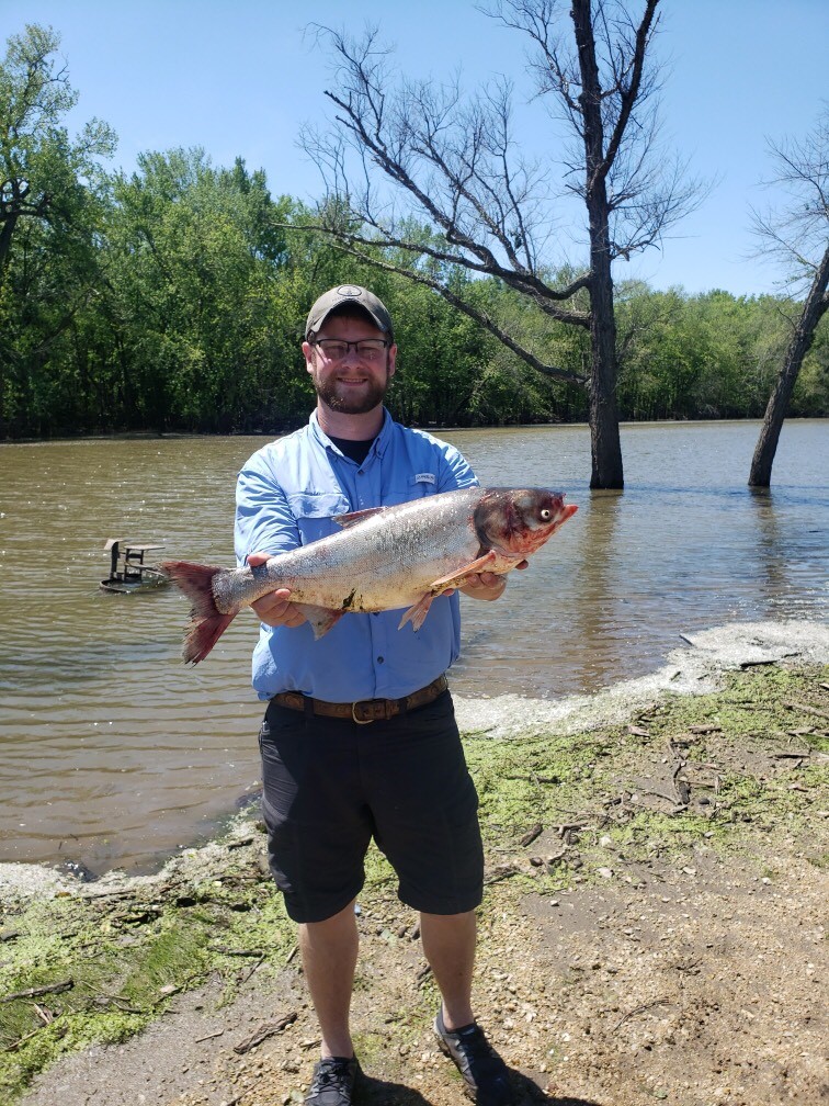 Looking to continue your #fisheries education? Pursue your MS degree w/ us @IowaStateNREM investigating #Invasive carp tributary movements & survival using acoustic telemetry! Start date is flexible, August -January. Apply by June 25! jobs.fisheries.org/jobs?locale=en…