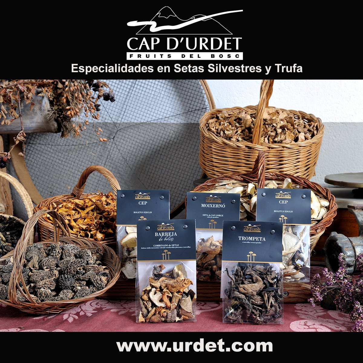 CAP_URDET's tweet photo. Disfruta de las setas silvestres y sus beneficios durante todo el año. De sabor delicioso, pocas calorías y sin gluten. Además ayudan a regular el colesterol y reforzar el sistema inmunitario. Necesitas más razones? #SetasDeshidratadas #SetasSilvestres #Vegan #Artesanal #Bolets https://t.co/y6Ho3eDKsx