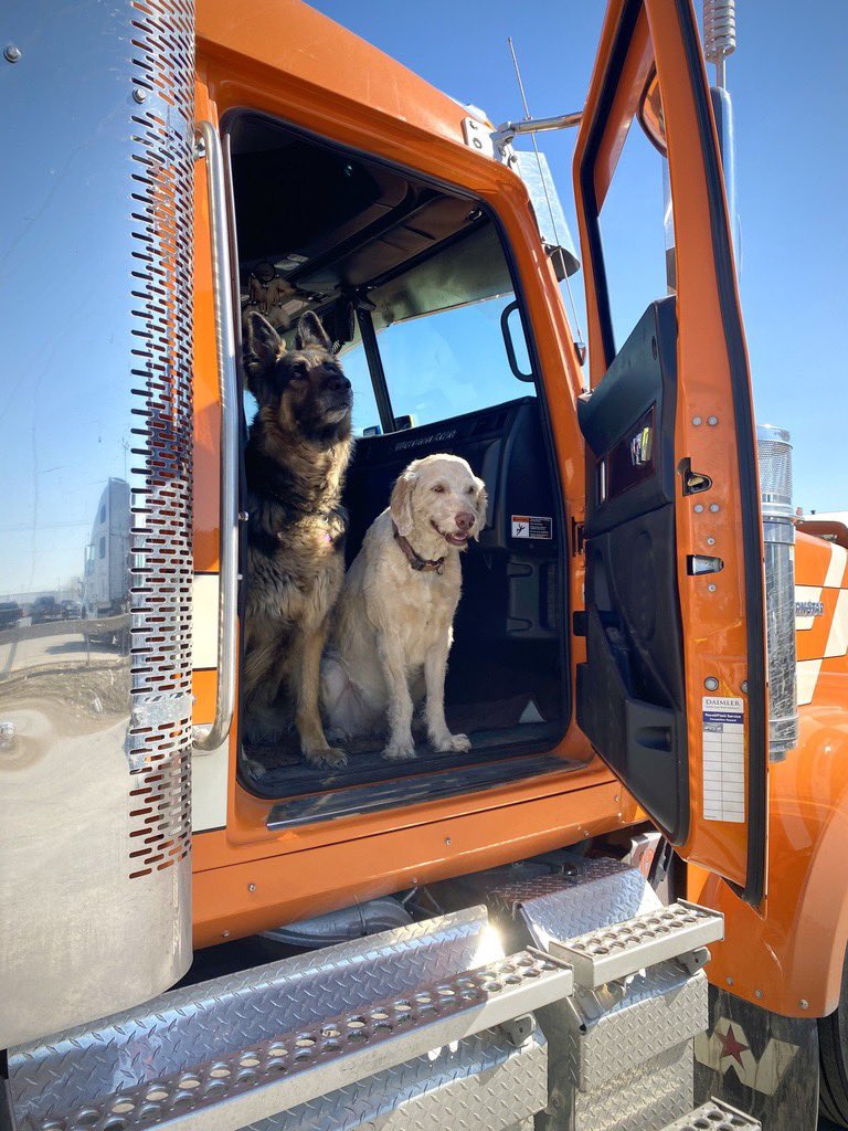 Evotrux's tweet photo. Introduce us to your road dogs! We would love to meet them. 🐶 https://t.co/eebxRAlO0c