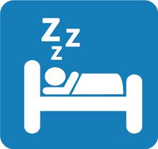 bigbrainplace tweet picture