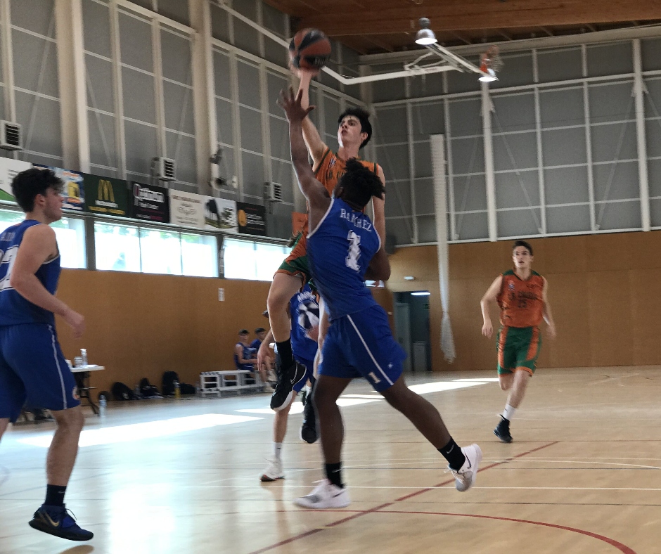 Club Bàsquet Calella tweet media