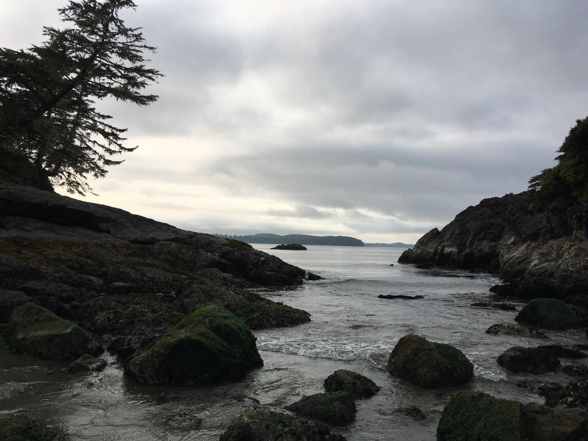greenpeaceSTHLM's tweet photo. 🐳🌊OCEAN TRIBUTE 🌊🐳 from our volunteer Amelie.
"The pictures were taken on Vancouver Island, during the time I lived in Canada.
While I look out into infinity, I wonder, what lays below this mysterious blue?"
#oceantribute #protecttheoceans #worldoceansday #bbnj #GPNVol https://t.co/IwsdPUnBDL