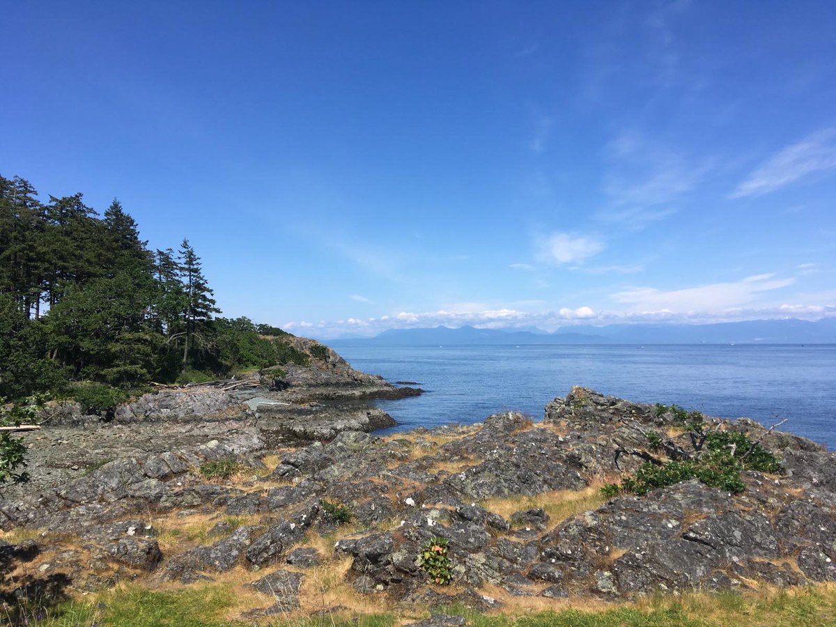 greenpeaceSTHLM's tweet photo. 🐳🌊OCEAN TRIBUTE 🌊🐳 from our volunteer Amelie.
"The pictures were taken on Vancouver Island, during the time I lived in Canada.
While I look out into infinity, I wonder, what lays below this mysterious blue?"
#oceantribute #protecttheoceans #worldoceansday #bbnj #GPNVol https://t.co/IwsdPUnBDL