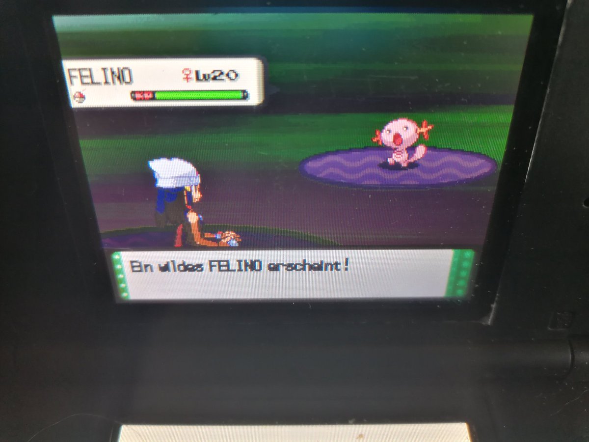 LisaYorha's tweet photo. I just got a wild shiny Wooper in Pokémon pearl Safari after 4218 encounter the Safari is warmed up for the Safari week 2021. First shiny in my living dex👀 #shunten #safariweek2021 @Luna51454503 https://t.co/jlHATc3K6i
