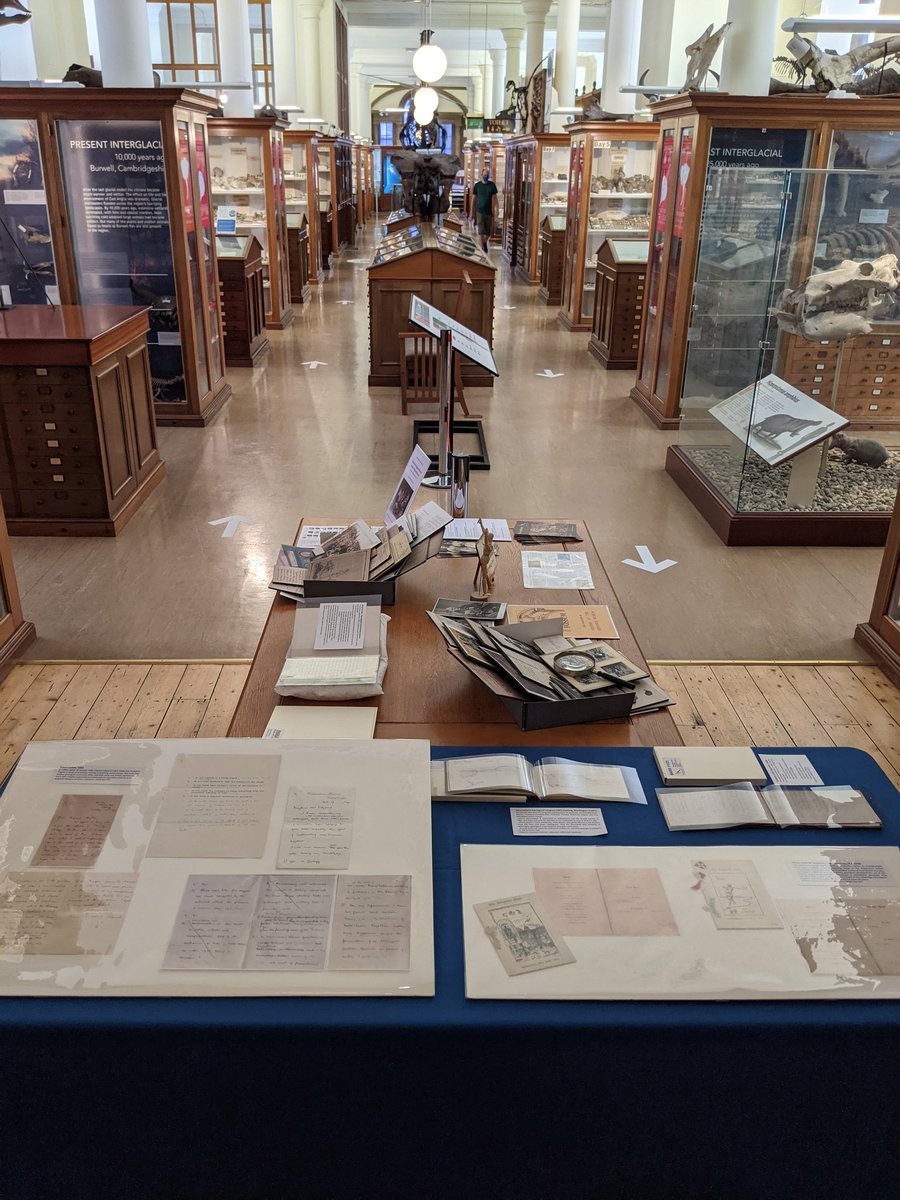 SedgArchivist's tweet photo. Good news #ArchiveArchie & the #ArchiveRummageBox are back out and about again!! ππππ So nice to pop into the museum today to set up for a group visit on Wednesday. #IAW2021 #ExploreYourArchive https://t.co/XCQpXJR8W0