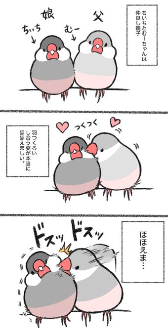 マンガ「はげしい愛」 