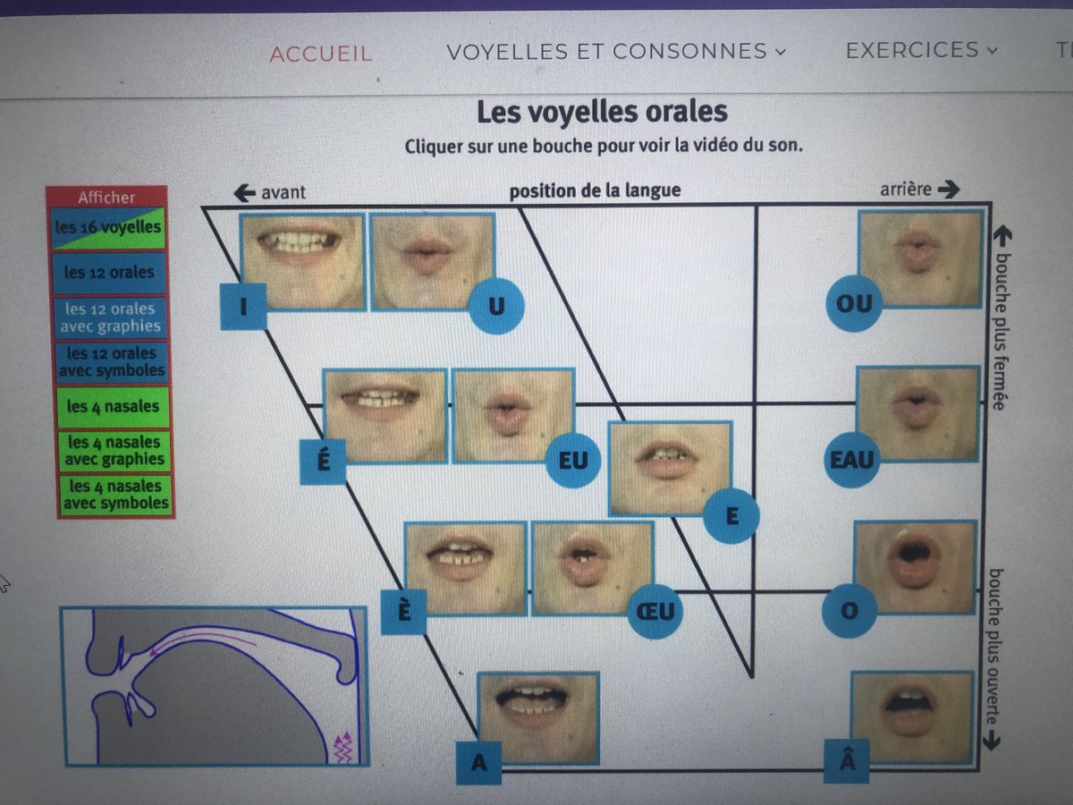 Mme Lockhart (@mmelockhartldsb) on Twitter photo Interested in making a #French Sound Wall to compliment your #FSL #structuredliteracy program? C’est possible! Sound Walls are more important than ever with mask wearing so students can see mouth positions to articulate words. <a href="/OMLTA/">OMLTA/AOPLV</a> <a href="/CASLT_ACPLS/">CASLT ACPLS</a> <a href="/ACPI_/">ACPI</a> Interested in making a #French Sound Wall to compliment your #FSL #structuredliteracy program? C’est possible! Sound Walls are more important than ever with mask wearing so students can see mouth positions to articulate words. <a href="/OMLTA/">OMLTA/AOPLV</a> <a href="/CASLT_ACPLS/">CASLT ACPLS</a> <a href="/ACPI_/">ACPI</a>