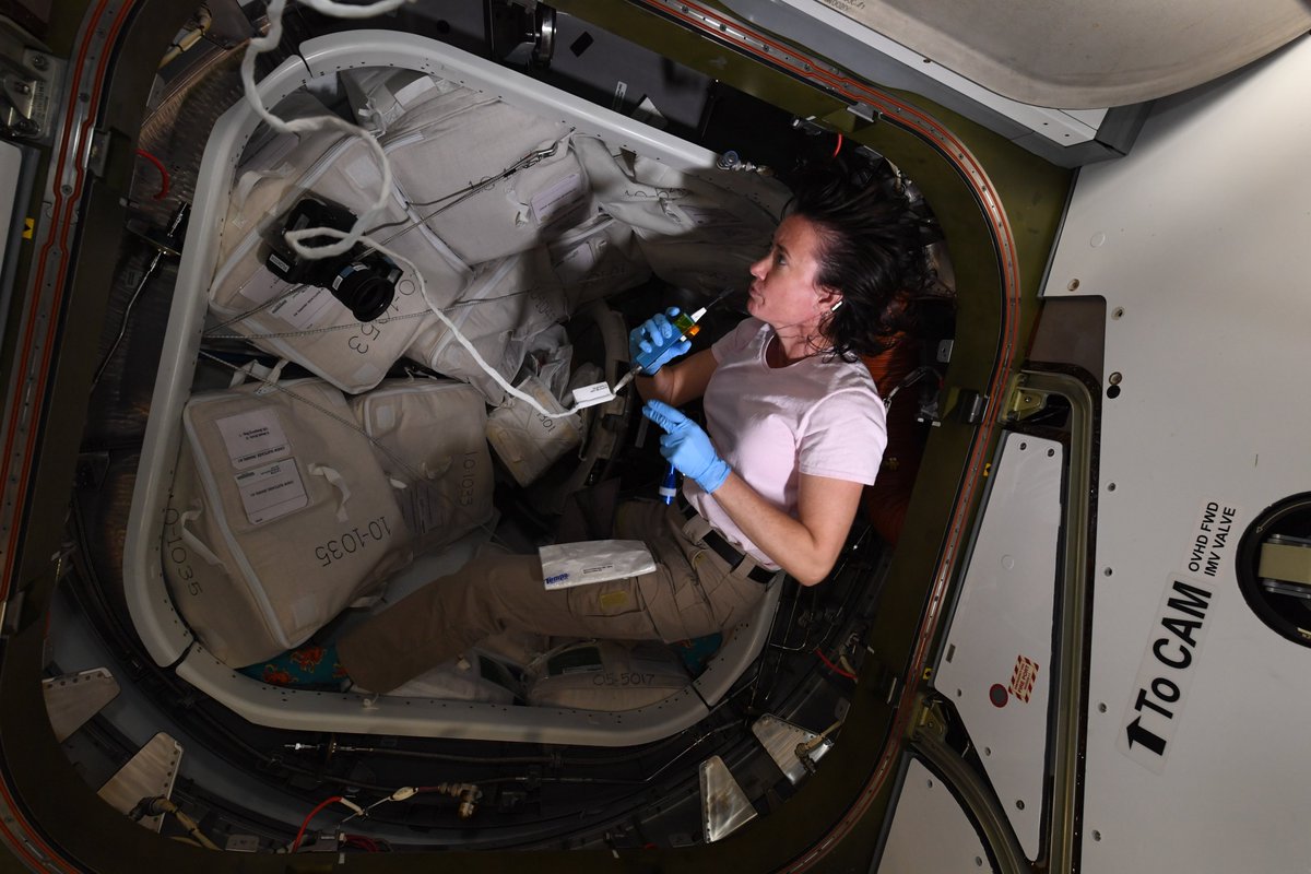 Thom_astro's tweet photo. Since @Spacex #CargoDragon arrived, our @Space_Station has a new attic! We unpacked a lot 📦 but there’s still cargo up there. @Astro_Megan was the first to climb into this new addition to our 🏠. It is cool to have a modular house where new rooms arrive once in a while! https://t.co/clpWqTv9RX
