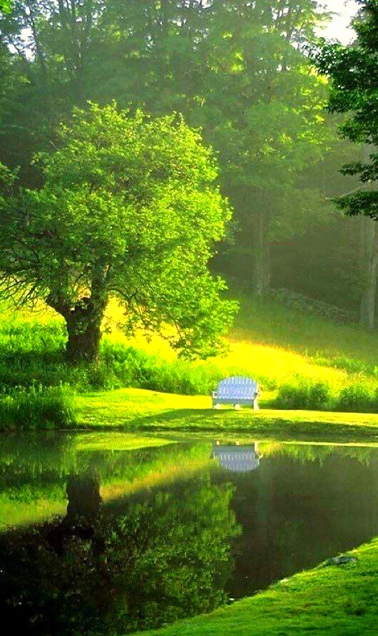 SummerK17742538's tweet photo. Good Evening Buddies 💚💚💚💚 https://t.co/zmCt1GYSdy