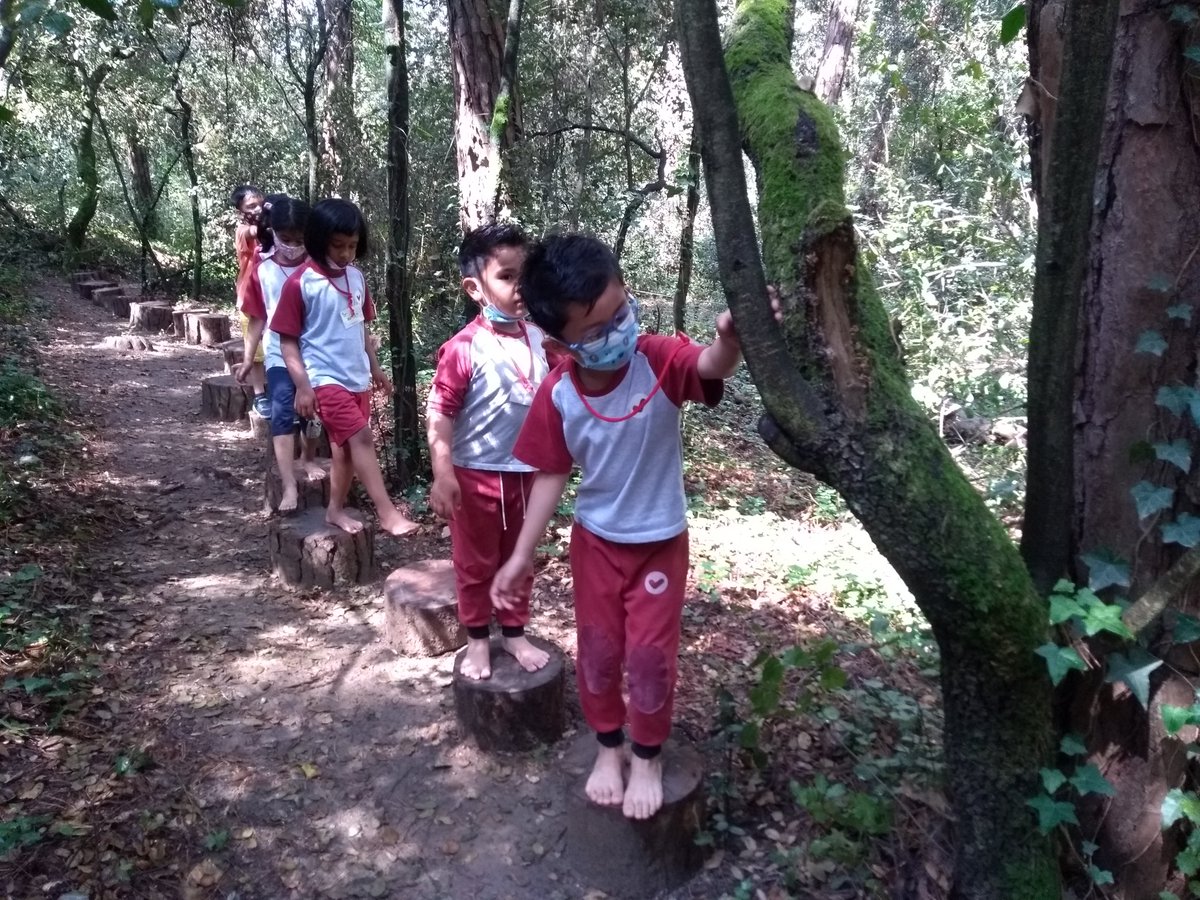 vedrunaangels's tweet image. Ens ha encantat el camí sensorial "Descalça't al bosc"! Mireu com ens han quedat els peus! Una activitat genial per acabar el curs i acomiadar l'etapa d'infantil #intensament #bosc #sentits