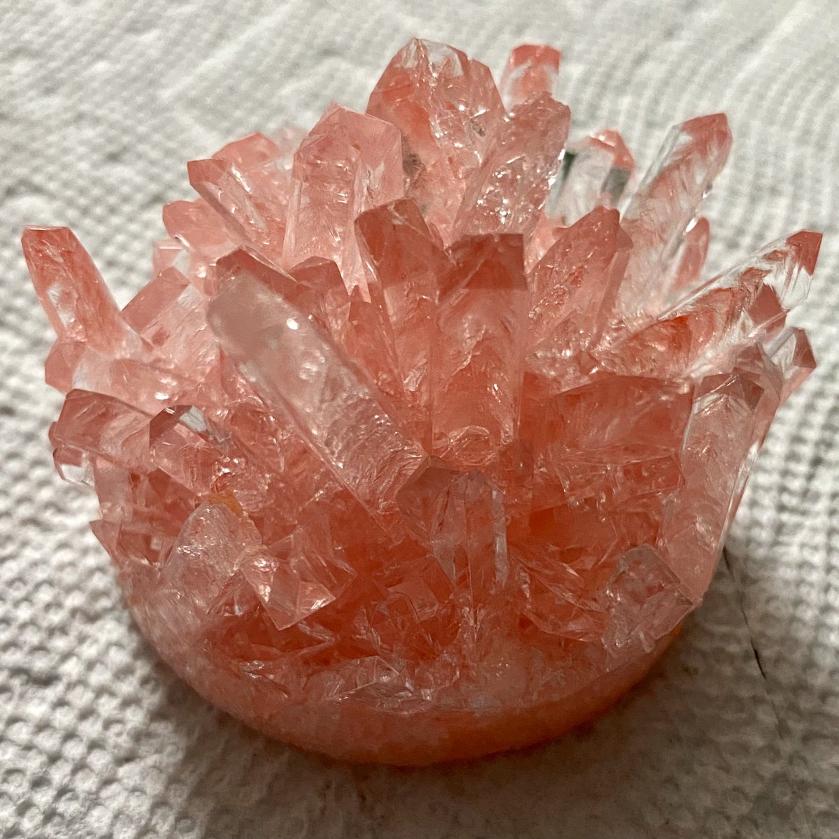 TheDoctorSully's tweet photo. Red crystal is done, green one should be finished later today #crystals #Chemistry #elementaryscience #chemistryathome #professormom https://t.co/7LG45wrtxG