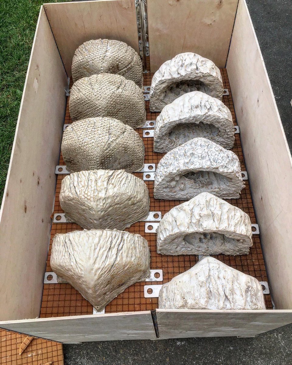 ArtecologyDept's tweet photo. One hundred Vertipoolsβ’οΈ (artificial rock pools) packed and ready to ship. Thatβs a lot of ecosystem restoration!! #IsleofWight World Biosphere Reserve exporting eco-engineering near and far whilst supporting #generationrestoration @UNESCO_MAB https://t.co/OvfQyrddhN