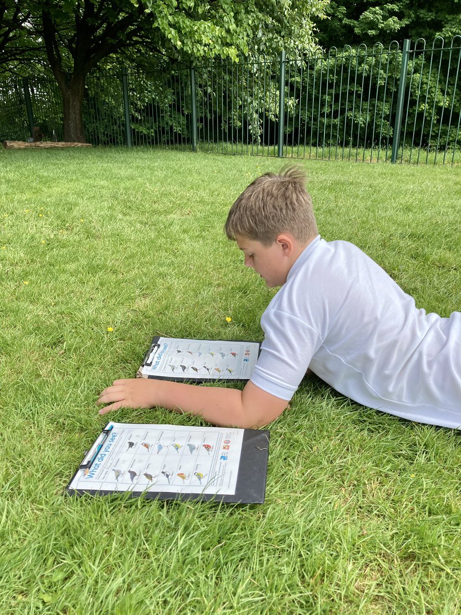 BPSMsMacCallum's tweet image. #BigSchoolsBirdwatch In P7 this afternoon, we practised our bird watching skills to gather data about the birds visiting our school grounds. #RSPBWildChallenge @BonnybridgePS @BPSMissStanners