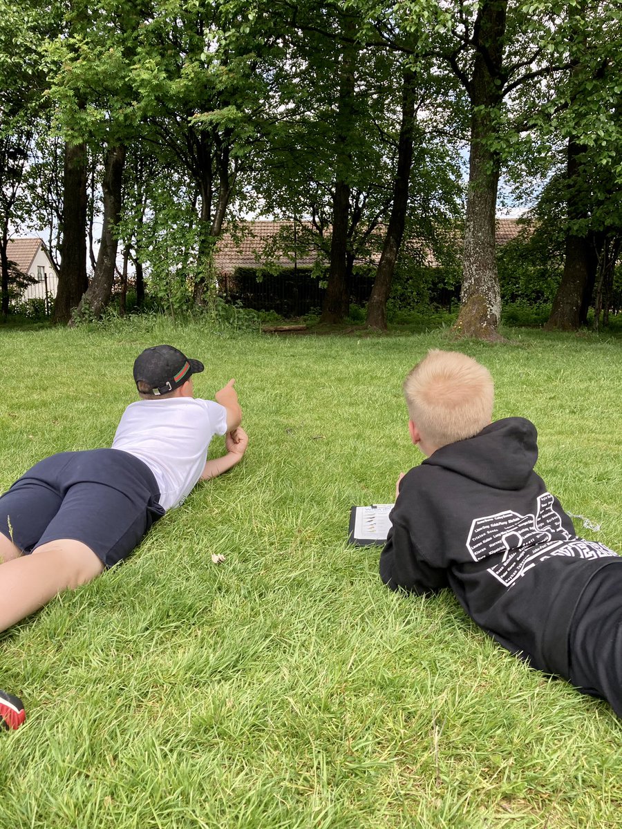 BPSMsMacCallum's tweet image. #BigSchoolsBirdwatch In P7 this afternoon, we practised our bird watching skills to gather data about the birds visiting our school grounds. #RSPBWildChallenge @BonnybridgePS @BPSMissStanners