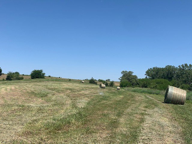 DavidHughesJHRE's tweet photo. 24846 Nagel Ave., Glenwood. 11.69 Acres.  Timber, hilltop views, wildlife.  No covenants!  Great acreage building site!  $179,000 https://t.co/hhcjJy8JoF
