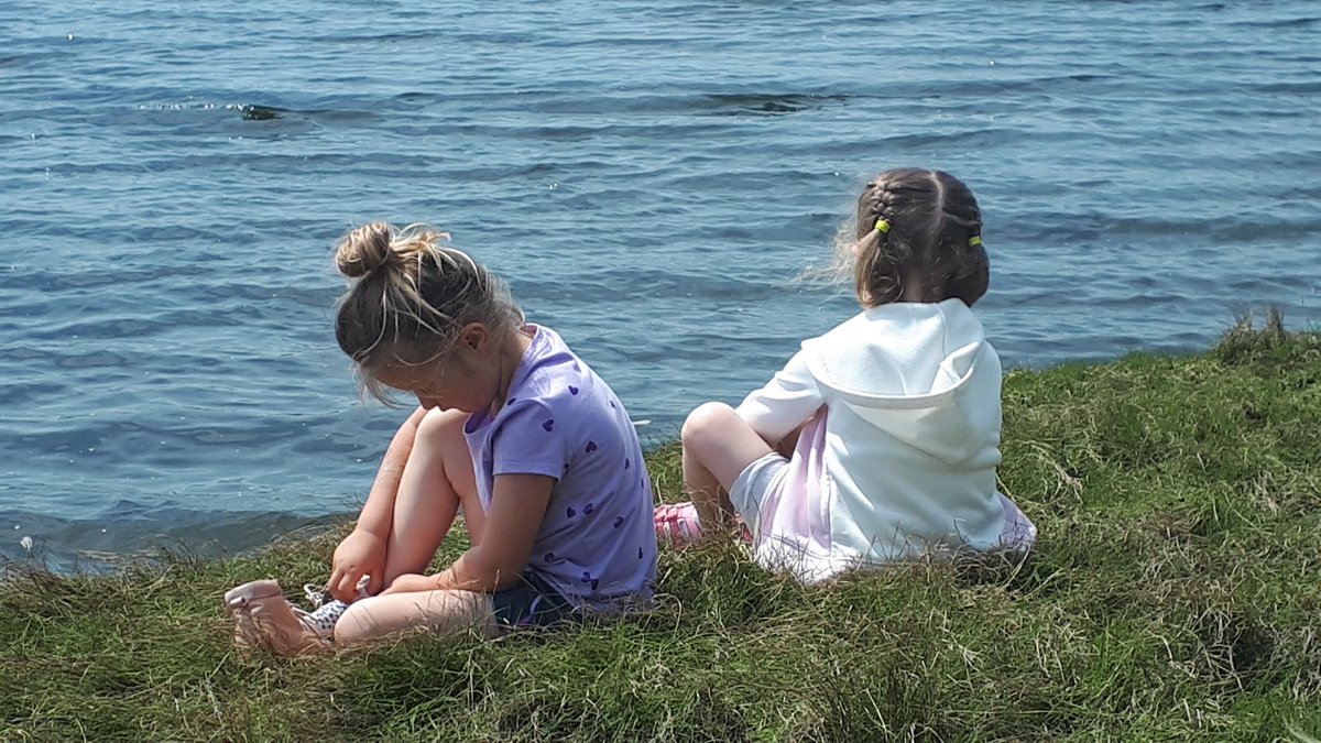 LohnesFreeman's tweet photo. What do you do when there is a heat warning? You pack up some paper, pencils, treasure bags and imagination amd you find a beach to learn on and investigate.
#nspreprimary 
@champlain_elem 
#outdoorclassroom https://t.co/9EhdtUFpBH