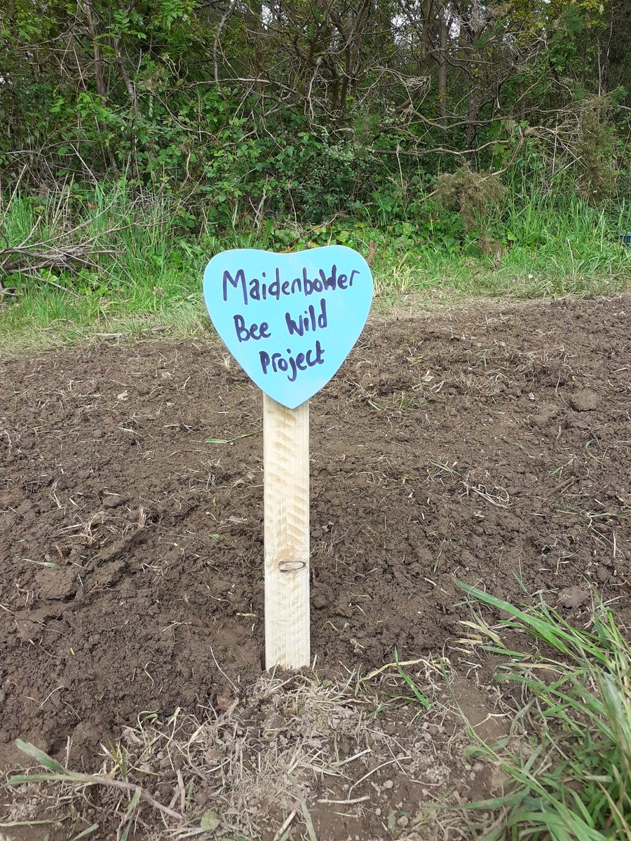 Gatwick Greenspace tweet media