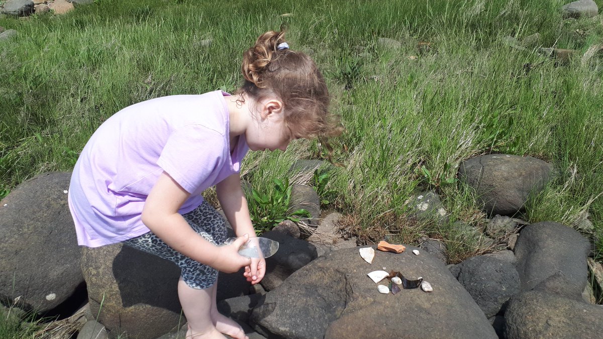 LohnesFreeman's tweet photo. What do you do when there is a heat warning? You pack up some paper, pencils, treasure bags and imagination amd you find a beach to learn on and investigate.
#nspreprimary 
@champlain_elem 
#outdoorclassroom https://t.co/9EhdtUFpBH