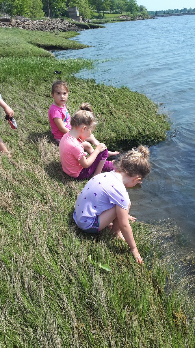 LohnesFreeman's tweet photo. What do you do when there is a heat warning? You pack up some paper, pencils, treasure bags and imagination amd you find a beach to learn on and investigate.
#nspreprimary 
@champlain_elem 
#outdoorclassroom https://t.co/9EhdtUFpBH