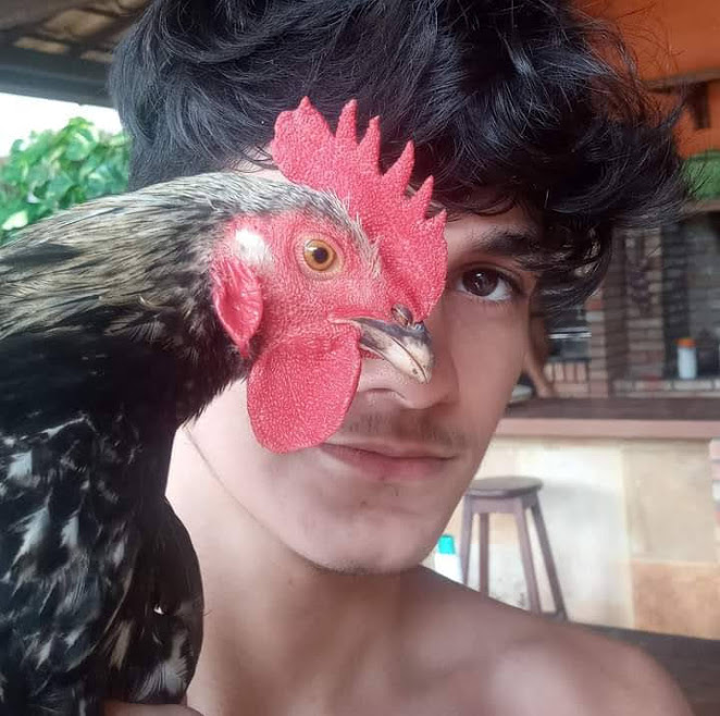 Marcelo B. Nika tweet media