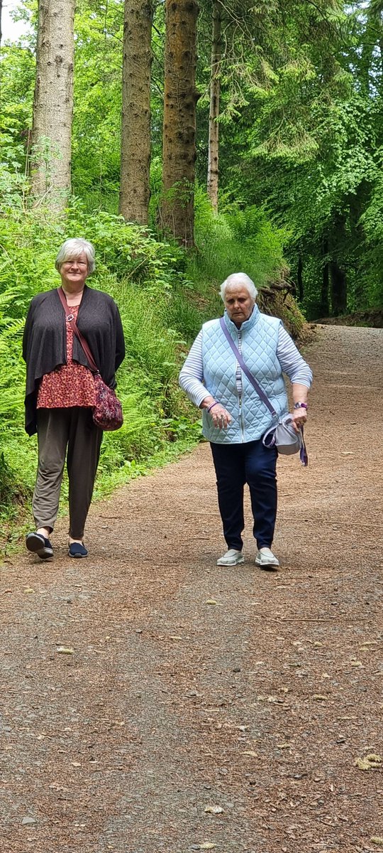 Bee Busy Be Friend tweet media