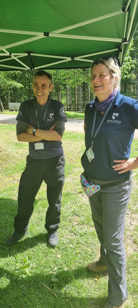 Bee Busy Be Friend tweet media