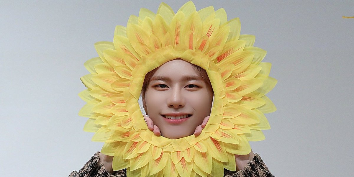 tiny_sikie's tweet photo. the prettiest sunflower https://t.co/o8BYNRZsz8