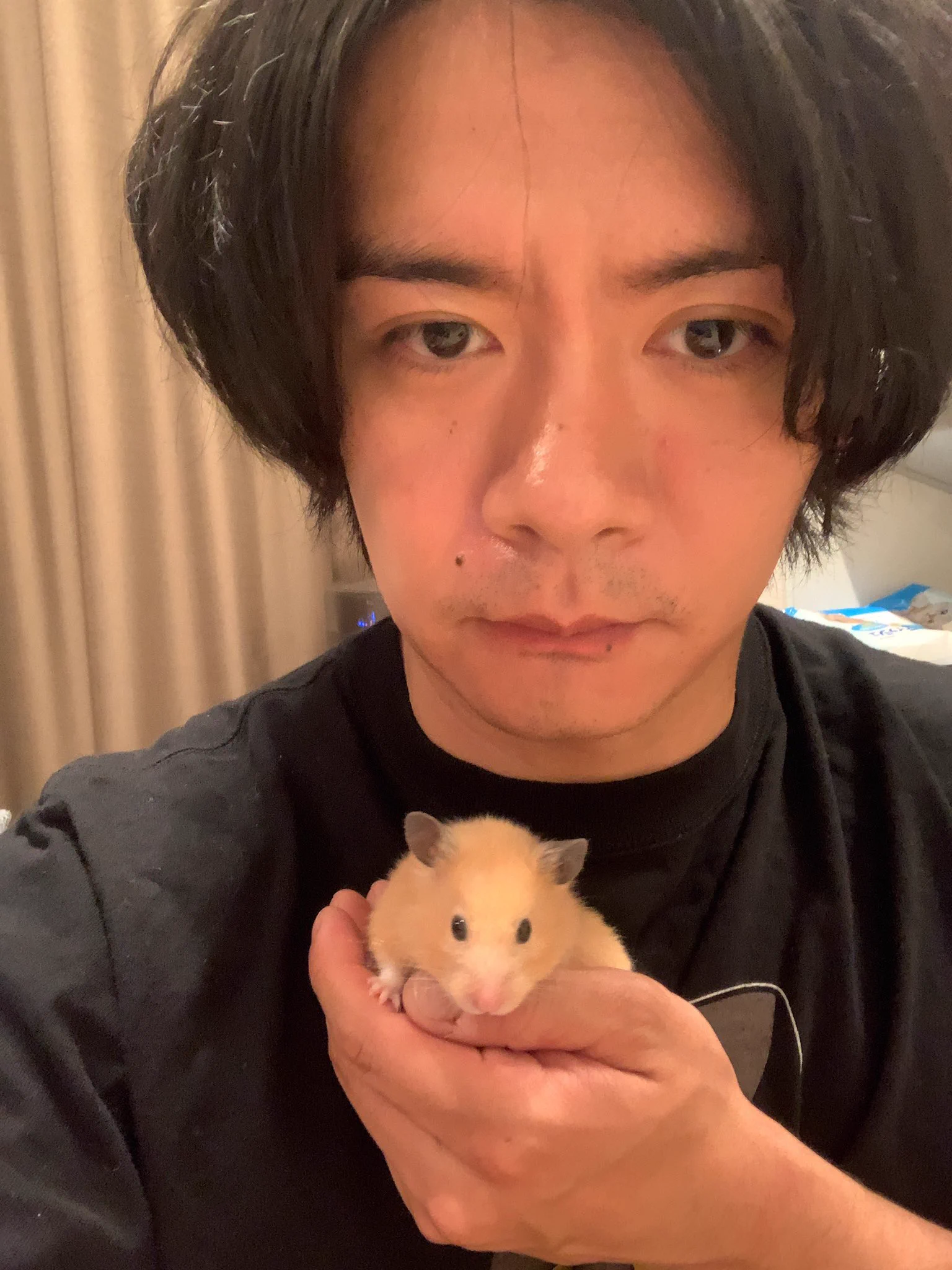 野田クリスタルさんが飼っているハムスターが1歳に！スーパーはむはむPARTYを開催する模様！