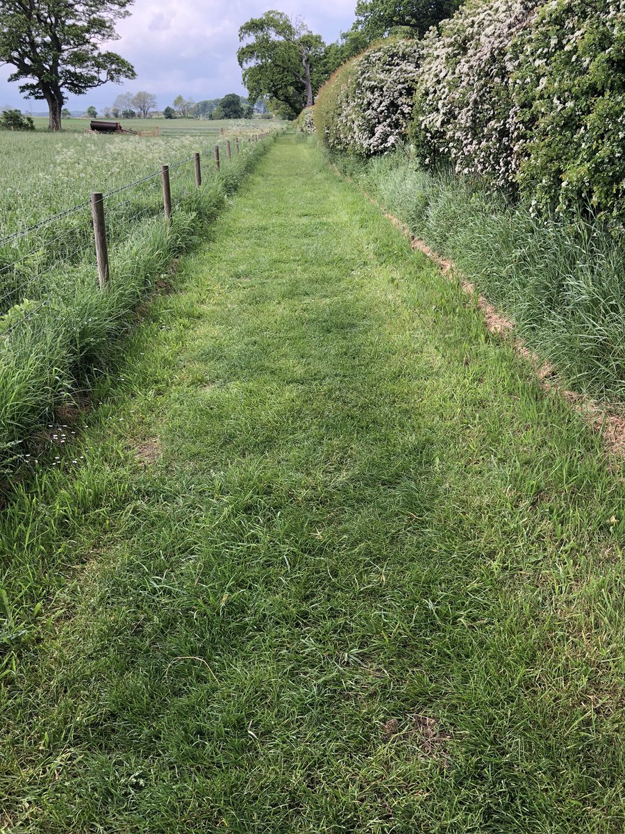 dew18willow's tweet photo. Is this a verdant southerly aspect part of the Hadrian’s Wall Path near Matfen Piers. Sure is. Out on patrol today. Met 20 walkers going both ways. Hope they didn’t get caught in the afternoon showers. #HWpath #hadrianswall #nationaltrail https://t.co/K3hWWLtKcQ
